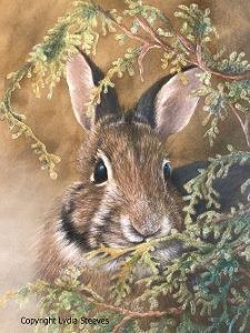 Cedric in The Cedars CP Online Class